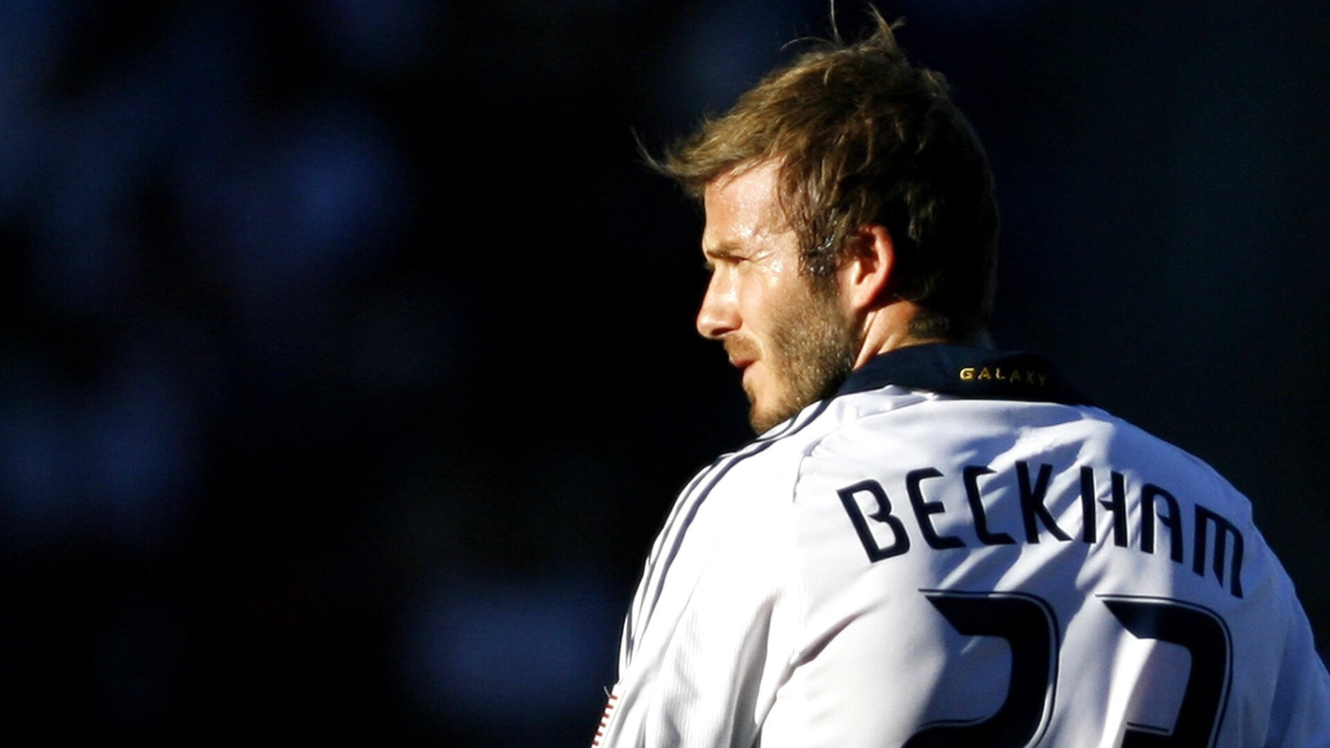 体育新闻中心开展体育传媒职业技能提升培训,体育传媒的前景