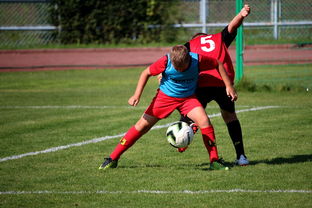 乐鱼体育网站入口-足球俱乐部建设标准发布 加强青训基地建设，足球俱乐部青训招生